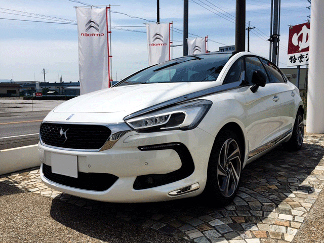 DS5のバックカメラは・・・