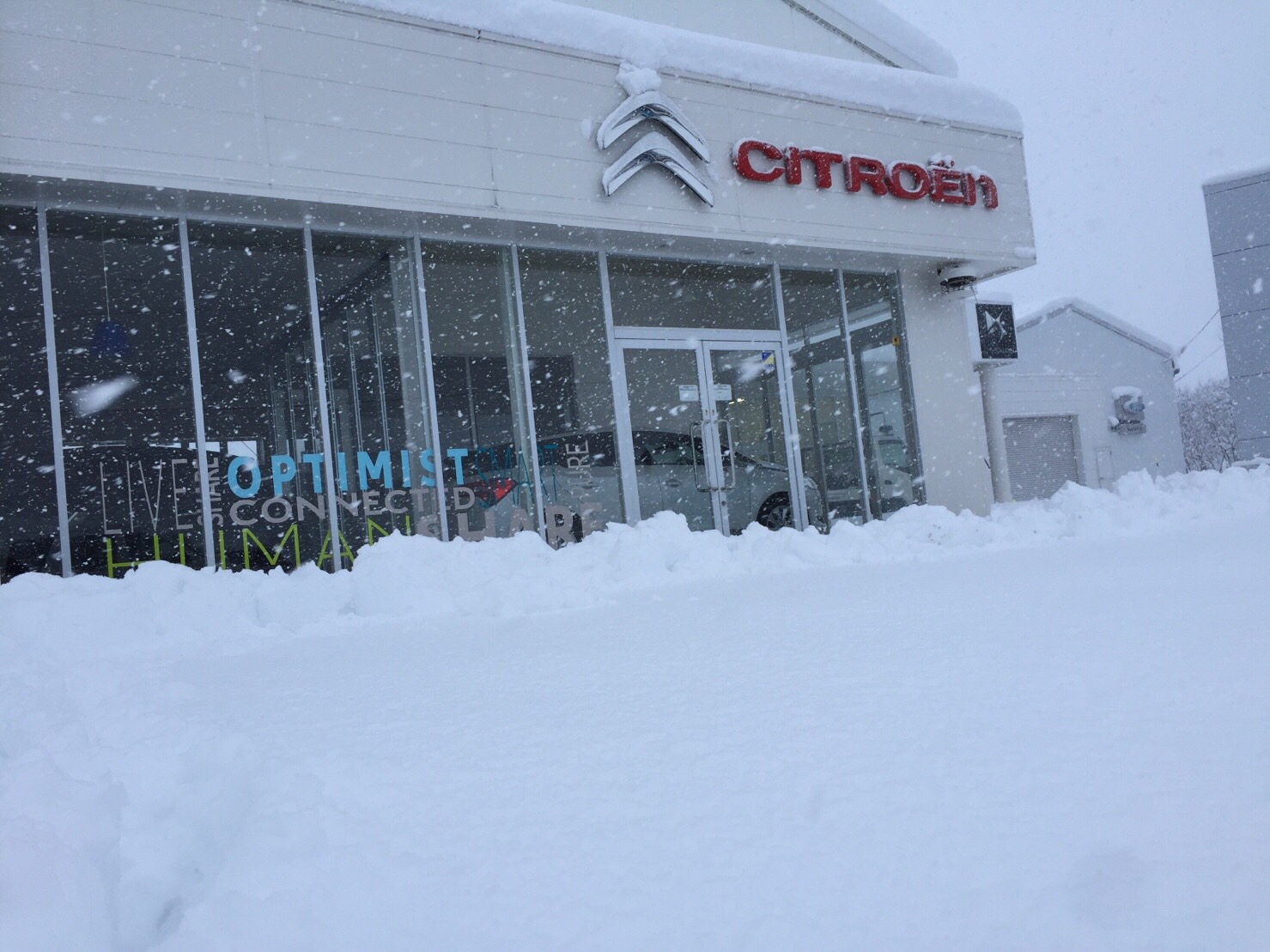 また、大雪です。