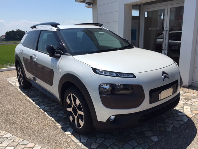 C4 CACTUS 入荷♪