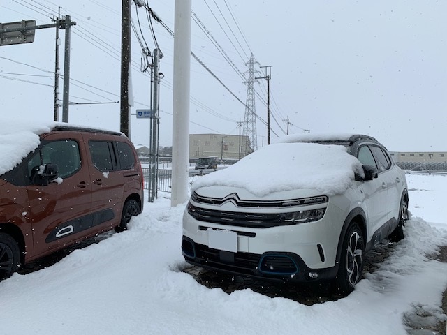 雪積もりました⛄